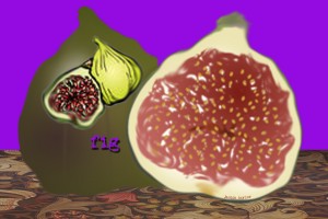 Sex/Food:  The Power of the Poached Fig by Janice Taylor, Weight Loss Artist