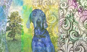 Enlightened Dog #Sitting by Janice Taylor, Weight Loss Artist