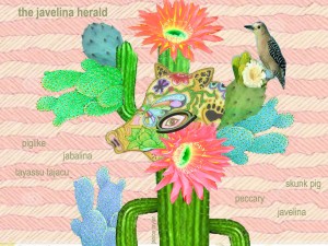 the javelina herald by Janice Taylor, Weight Loss Artist